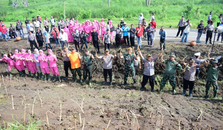 Penanaman rumput vetiver di tanggul Sungai Brantas Porong, oleh Forkopimda Sidoarjo.