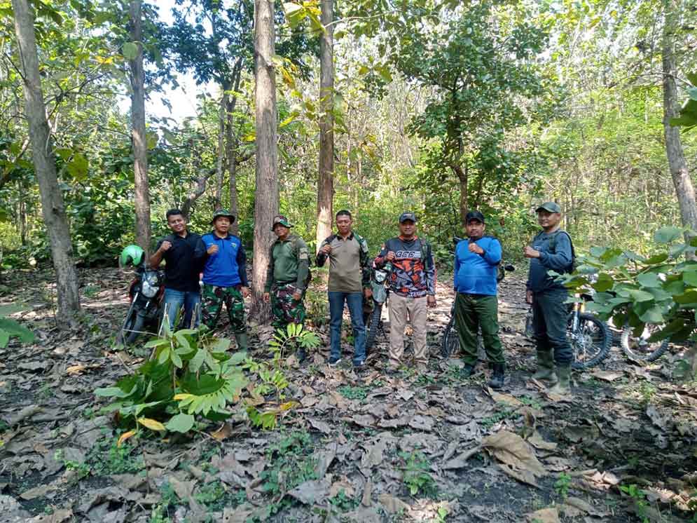 Cegah Pencurian Kayu, Perhutani BKPH Bancar Laksanakaan Patroli Rutin