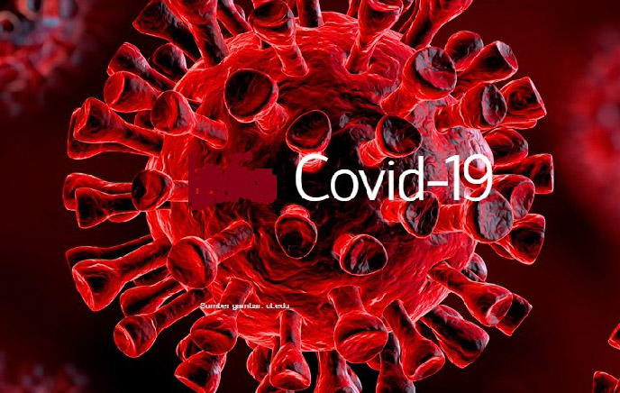 Update Covid-19 Gresik: Positif Tambah 4 Orang, Sembuh 5