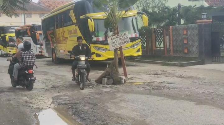 Protes Jalan Berlubang, Akses Menuju Pesarean Syaikhona Kholil Ditanami Pohon Pisang