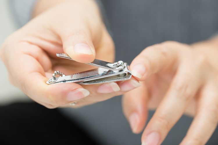 Anjuran Tidak Memotong Kuku Bagi Orang Berkurban