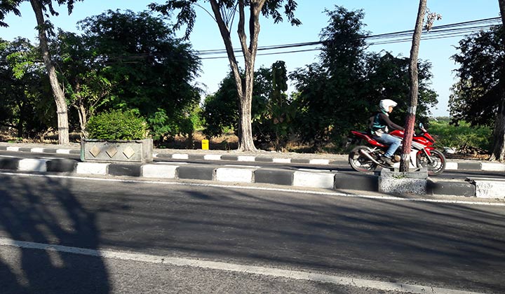 Kebun mangga milik Pemkab Gresik yang menjadi lokasi pembangunan kantor baru Polres Gresik. foto: SYUHUD/ BANGSAONLINE
