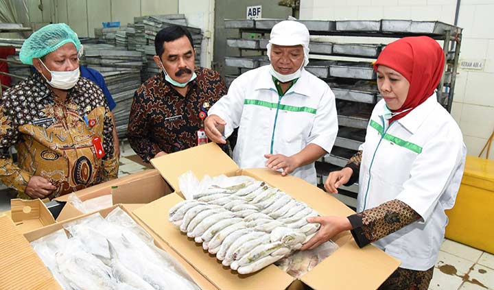 Gubernur Jatim Khofifah Indar Parawansa tinjau langsung PT. Dimas Reiza Perwira, perusahaan cold storage ikan Bandeng dan Patin di kawasan Rungkut Industri Surabaya. Hal ini dilakukan Khofifah untuk menindaklanjuti harga ikan bandeng yang sempat turun beberapa hari kemarin di Lamongan.