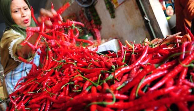 TURUN: Harga cabai di Bojonegoro terus turun, harga cabai rawit hijau kini tinggal Rp5.000/Kg. Tampak salah satu penjual cabai di Pasar Bojonegoro sedang mengurai dagangannya. Foto: Eky Nurhadi/BangsaOnline