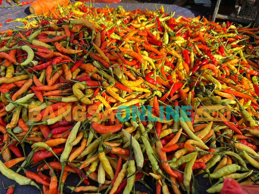 Harga cabai di Surabaya kembali merangkak. Foto: Sulthon/Bangsaonline.