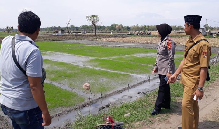 Kapolsek Kwadungan Iptu Sunarjati mendatangi lokasi korban tersengat listrik.