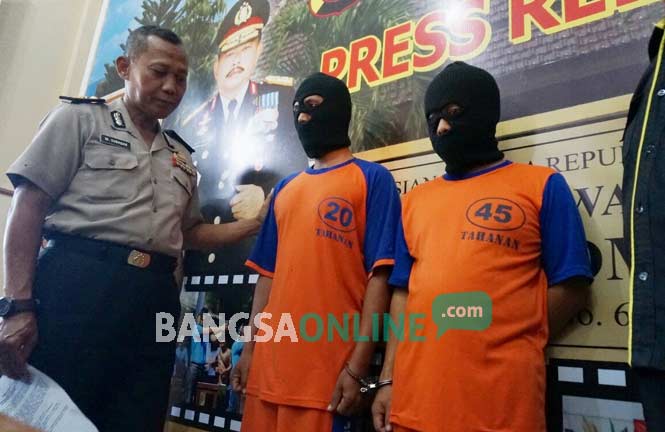 Bawa Satu Truk Kayu Mahoni Tanpa Surat Lengkap, Dua Warga Malang Dibekuk di Jombang