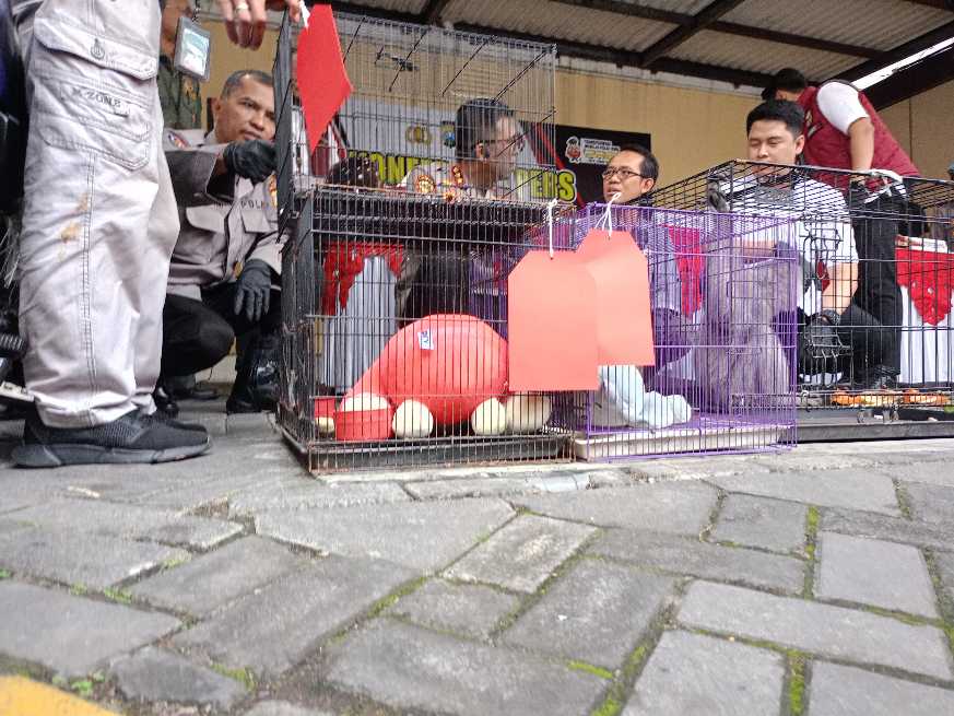 Polresta Sidoarjo Bongkar Perdagangan Satwa Dilindungi, Satu Tersangka Diamankan