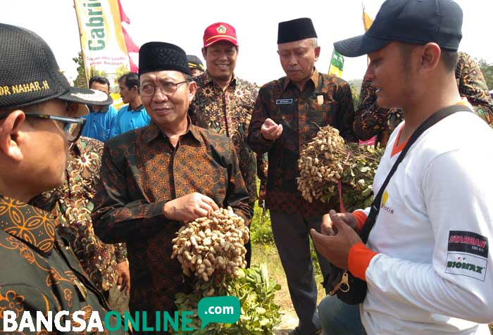 Bupati Tuban Fathul Huda ketika berbincang dengan petani kacang tanah.