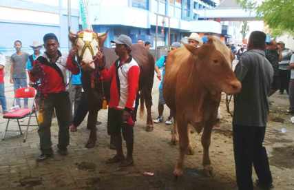 Kadisnakan Jatim Jamin Stok Daging Aman
