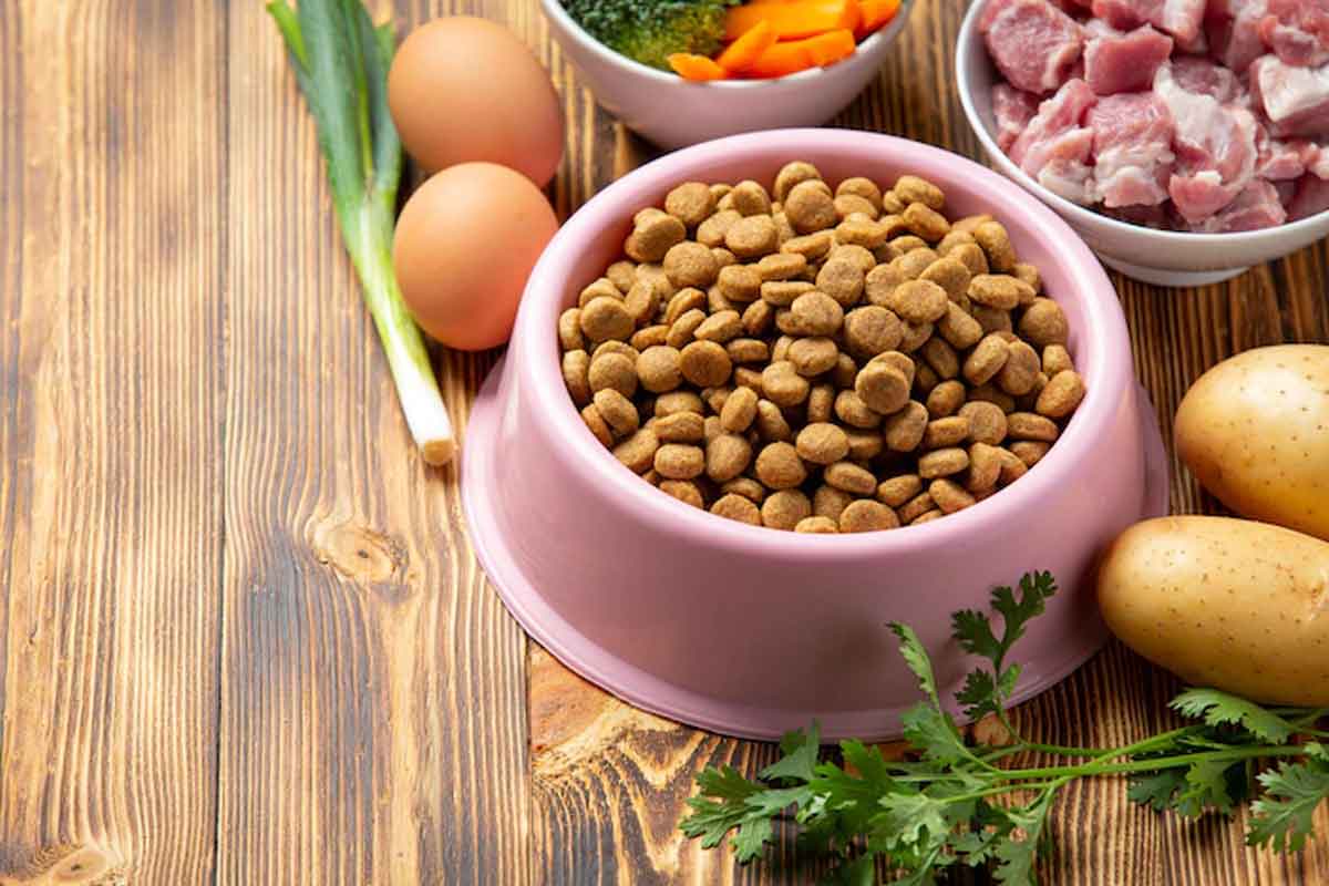 Amankah Makanan Kucing Dikonsumsi Anjing?