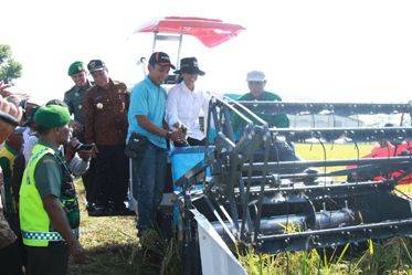 Nampak Menteri BUMN, Rini Soemarno (baju putih) mencoba alat pemanen didampingi Bupati Fadeli. foto: haris/BANGSAONLINE
