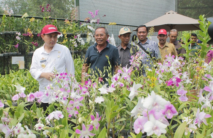 Bupati Nganjuk Novi Rahman Hidayat saat mengunjungi kebun anggrek di Desa Margopatut. Foto: BAMBANG DJ/BANGSAONLINE