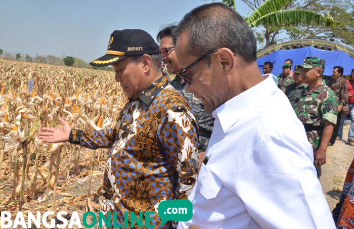 Kunjungan ke Lamongan, Kepala Badan Ketahanan Pangan Kementan Janji tak akan Impor Bahan Pangan