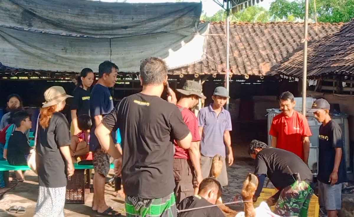 Idul Adha 1444 H/2023, Gerindra Kota Probolinggo Bagikan Ratusan Paket Daging Kurban