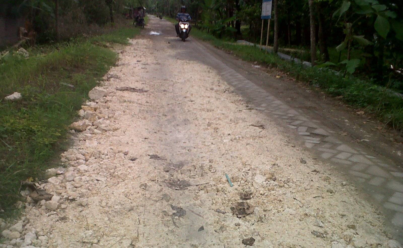  Jalan Berpaving Diuruk Pedel, Bupati Bojonegoro Tegur Pemdes