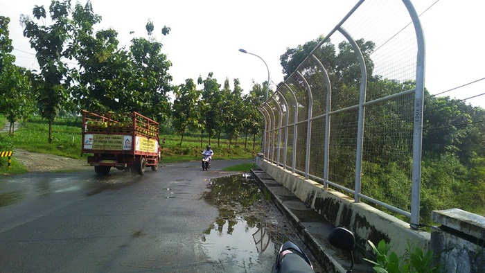 PJU di Kerek Tak Kunjung Diperbaiki, Warga Ancam Ganti dengan Obor
