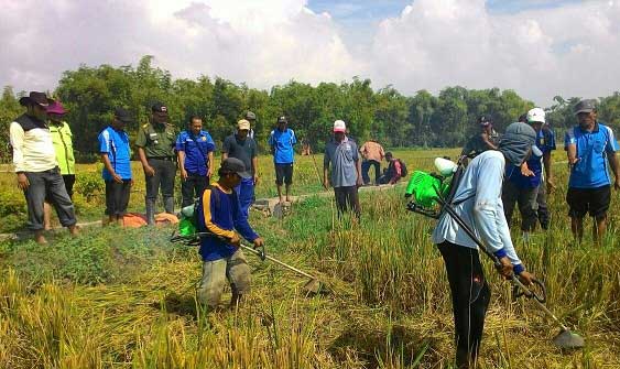 Dishut Jatim - Kodam Brawijaya Pantau Penghijauan Serentak di Kediri