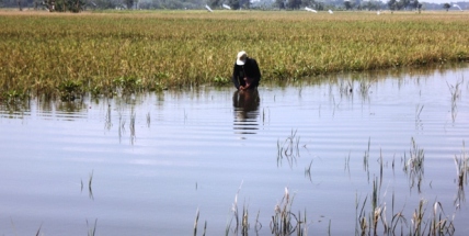 Kerugian Banjir Bojonegoro Mencapai 1.6 Miliar