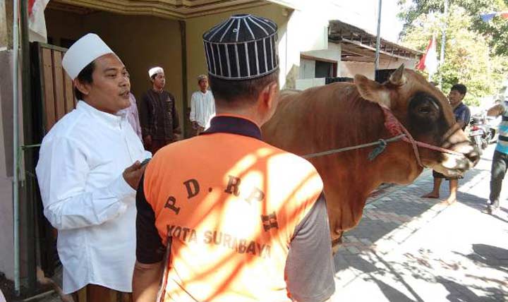 Ini Alasan Bos PT Panglima Ekspres Kurban 17 Ekor Sapi
