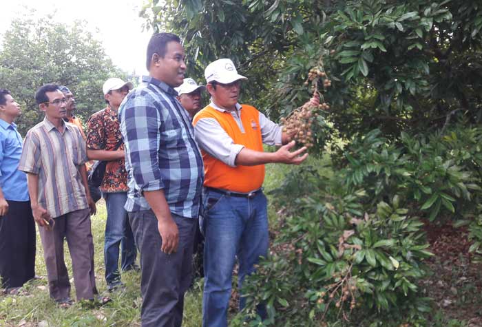 Wakil Ketua DPRD Gresik Nur Qolib didampingi Kades Pangkahwetan Syaifullah Mahdi saat melihat wisata agro di lahan seluas 3 hektar. foto: SYUHUD/ BANGSAONLINE