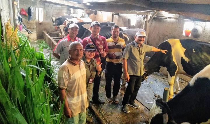 DPKP Pasuruan saat melakukan pencatatan atau recording laktasi kepada sapi perah yang memiliki produtivitas susu tinggi.