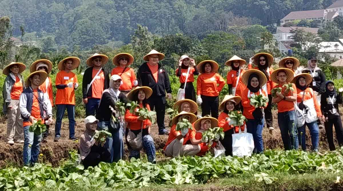 Harga Sayur Anjlok, Garda Pangan Beli Sayur Petani Songgokerto