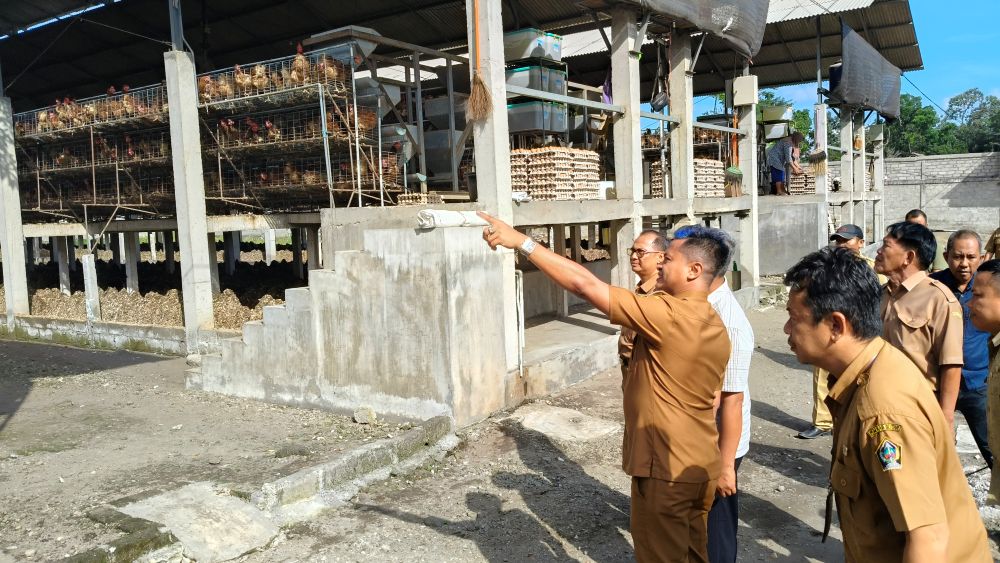 Dukung Program MBG, Wabup Blitar Cek Langsung Produktivitas Peternakan Ayam Petelur