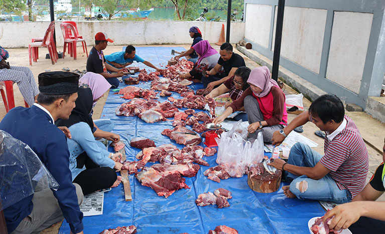Ilustrasi. foto: pelindo1.co.id