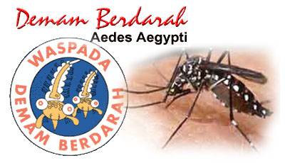 Curah Hujan Tinggi, Dinkes Bondowoso Himbau Waspada Penyebaran DBD