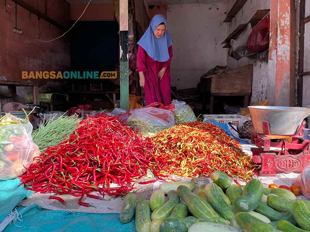 Harga Cabai di Yogyakarta Alami Lonjakan, Rawit Merah Paling Tinggi