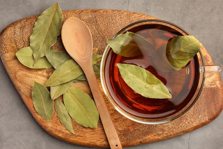 Cara Mengobati Asam Urat dan Kolesterol dengan Daun Salam