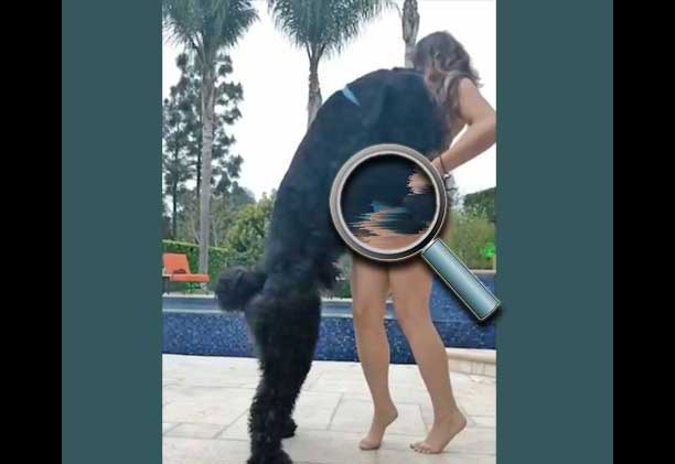 Model di Instagram Digugat Gara-gara Diduga Merangsang dan Memasturbasi Kelamin Anjing 