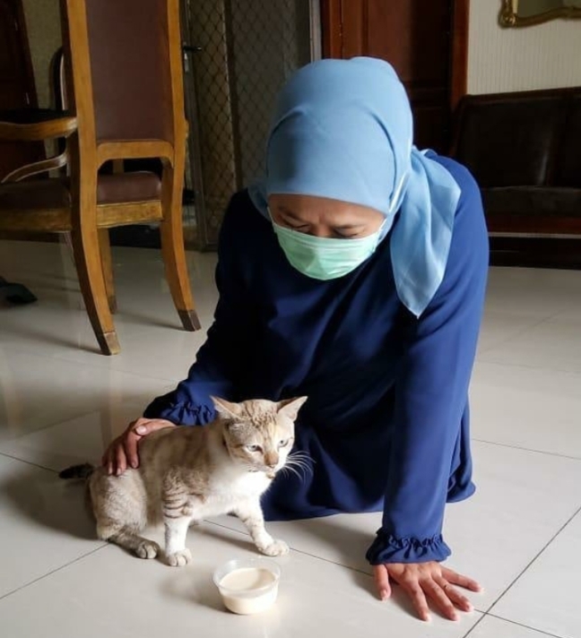 Masih Isolasi, Gubernur Khofifah Ditemani Kucing, Ramu Empon-Empon sendiri