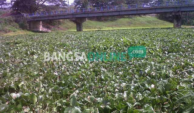 foto: feri/ BANGSAONLINE