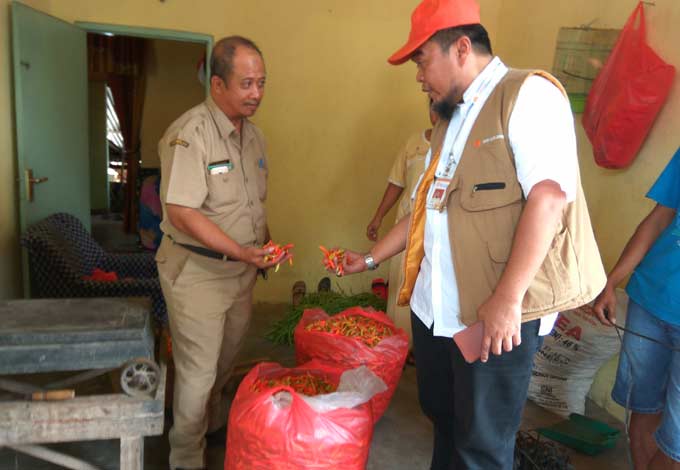 Kasub Bulog Divre Kediri Rachmad Syahjoni saat membeli cabai langsung ke petani di Desa Kebonrejo Kecamatan Kepung Kabupaten Kediri.