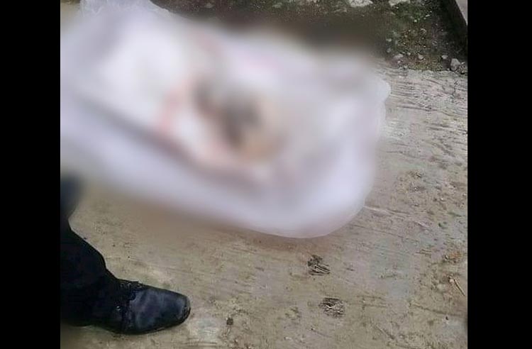 Geger, Warga Jember Temukan Mayat Bayi Mengambang di Sungai