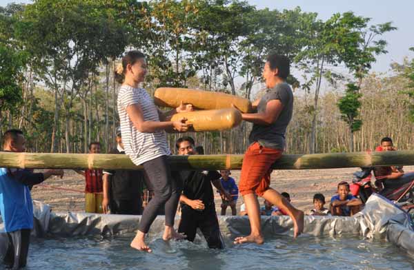 Lomba Gebug Guling Ramaikan HUT RI 70 di Ringinagung Magetan