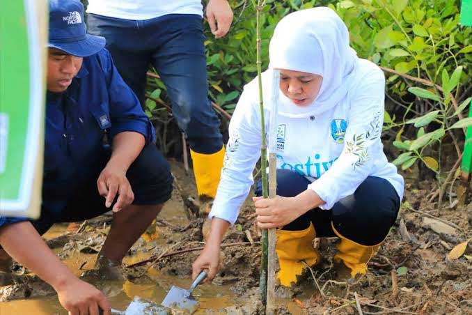 Khofifah saat melakukan penanaman pohon. foto: ist.