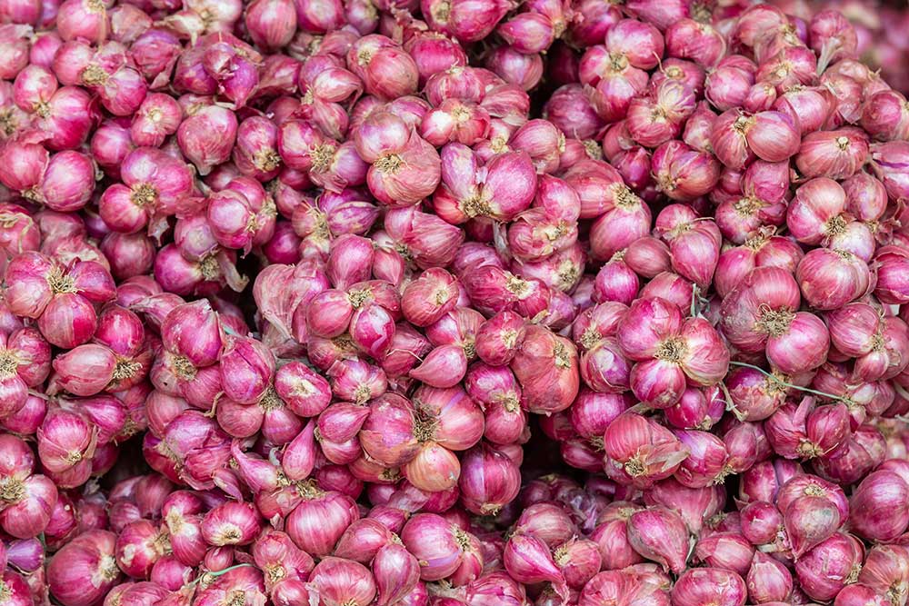 Perubahan Harga Pangan Bali 15 Juli 2025: Bawang Merah Naik, Cabai Keriting Turun