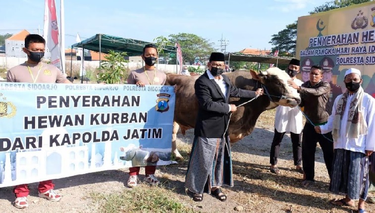 Kapolresta Sidoarjo Salurkan Hewan Kurban