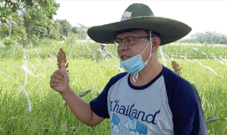 Pertanian Organik Gubug Lazaris Kediri, Semuanya Dilakukan secara Mandiri