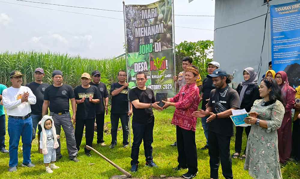Lestarikan Tanaman Langka, Pemdes Joho Gandeng Danramil Wates Tanam 100 Bibit Pohon Joho