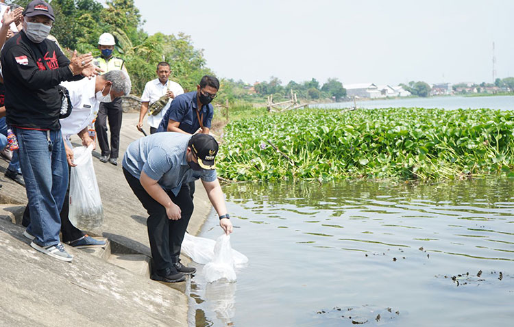 Jaga Kelestarian, Bupati Kediri Tebar 50.000 Benih Ikan di Sungai Brantas