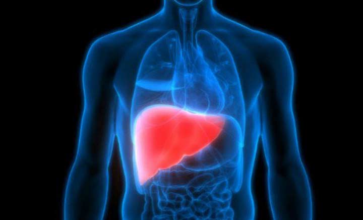 Warga Terpapar Hepatitis A di Pacitan Capai 1.102 Jiwa