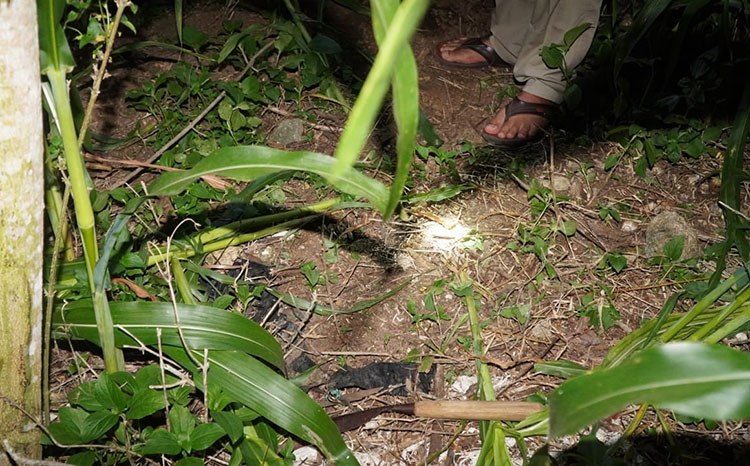 Pamit Cari Pakan Ternak, Pria di Blitar Ditemukan Tewas Tergeletak di Kebun Jagung