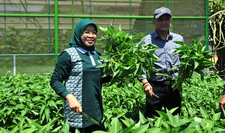 Pelaksana Tugas (Plt) Kepala Dinas DKPP Erna Purnawati yang juga Kepala Dinas Pekerjaan Umum Bina Marga dan Pematusan, saat jumpa pers bersama awak media. foto: YUDI A/ BANGSAONLINE