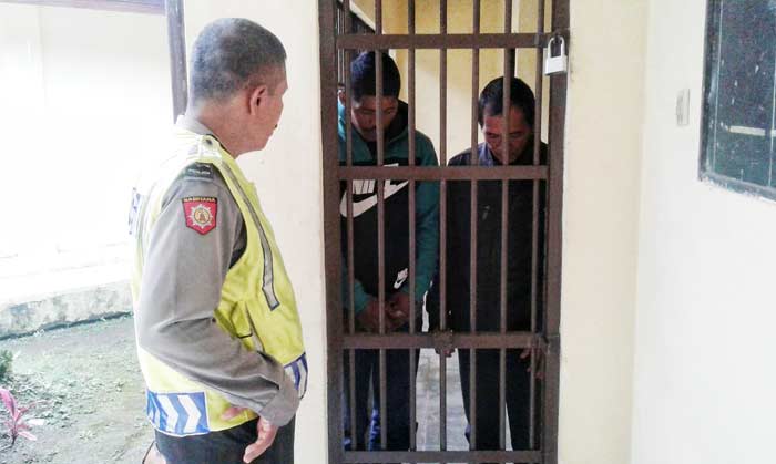 Polsek Nongkojajar Bekuk Maling Kayu Pinus