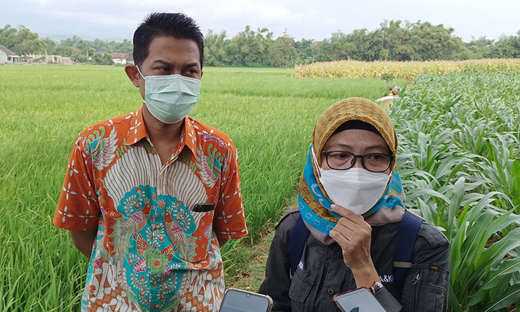 Gandeng Kelompok Tani Kaliboto, Dispertabun Kabupaten Kediri Gelar Aksi Gerakan Pengendalian Massal
