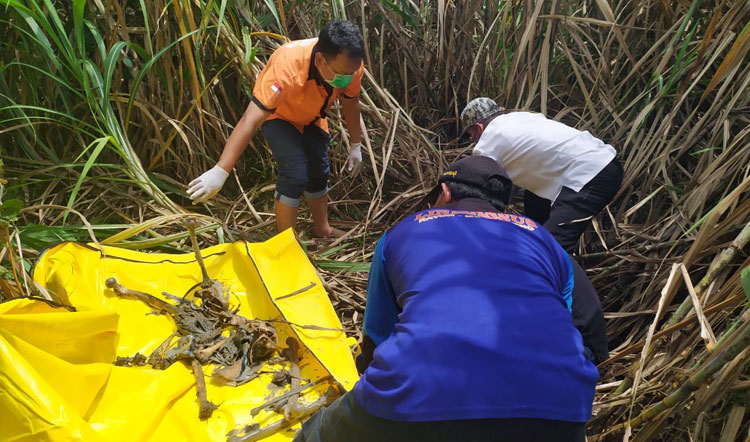 Temuan Kerangka Manusia Gegerkan Warga Jombang